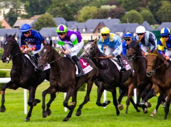 horse-racing