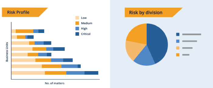 legal reporting for the CEO and Board - risk profile